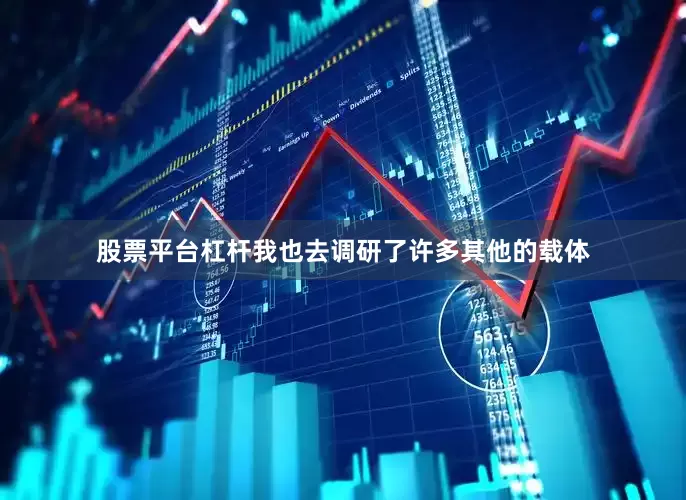 股票平台杠杆我也去调研了许多其他的载体