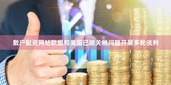 散户配资网站欧盟和美国已就关税问题开展多轮谈判